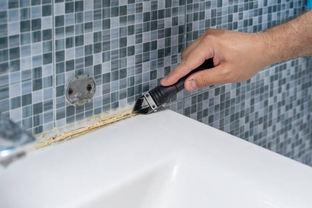 Best Black Mold Removal  in Keenesburg, CO