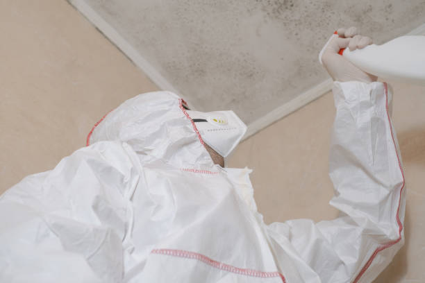 Best Toxic Mold Removal  in Keenesburg, CO